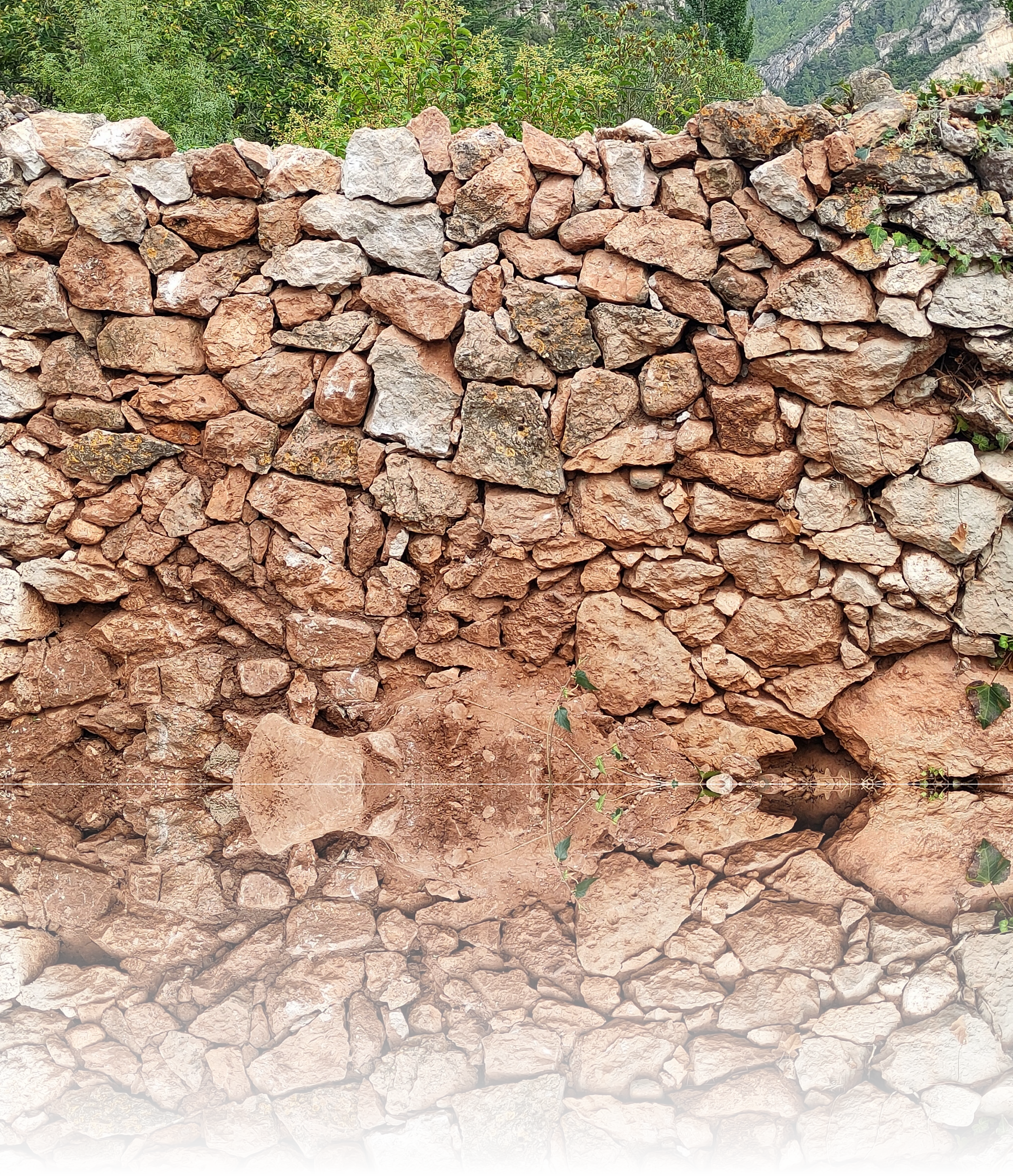 Mur de pedra seca amb arguila en la part central